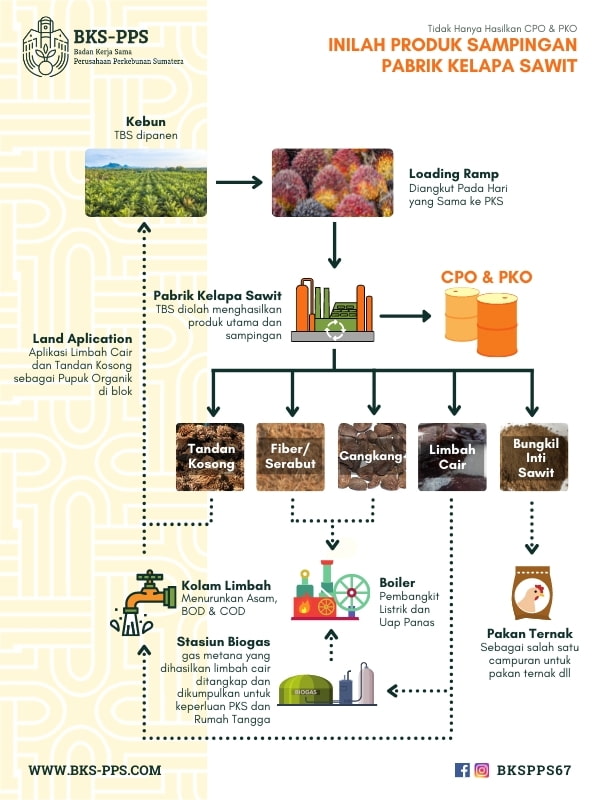 By Products PKS